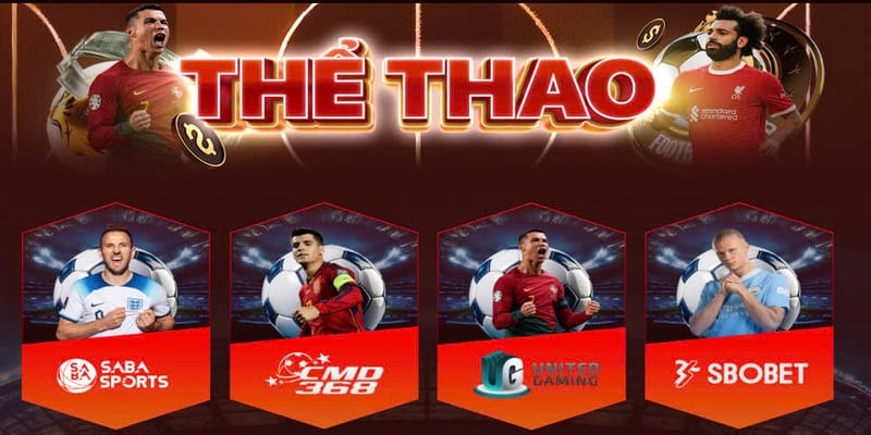 Giới thiệu sơ lược thông tin về sảnh cược Sports MANCLUB
